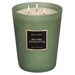 Show details for Wild Mint & Eucalyptus Large Jar Candle | SELECTION SERIES 1316 Model Picture of Wild Mint & Eucalyptus Large Jar Candle | SELECTION SERIES 1316 Model